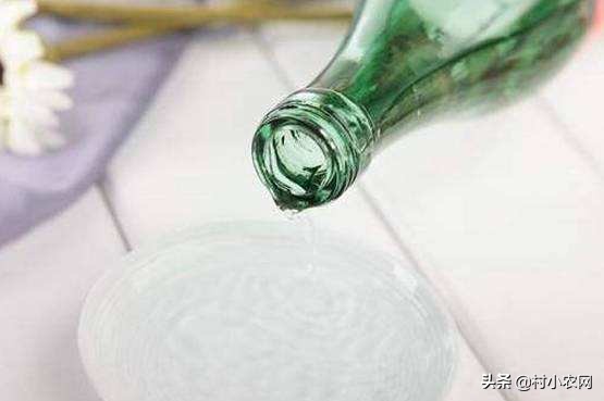 杨梅酸甜可口,但把杨梅汁弄到衣服上怎么办?这6种方法你用过吗?