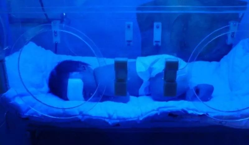 美容院里的光子嫩肤靠谱吗,美容院的光子嫩肤为什么那么便宜