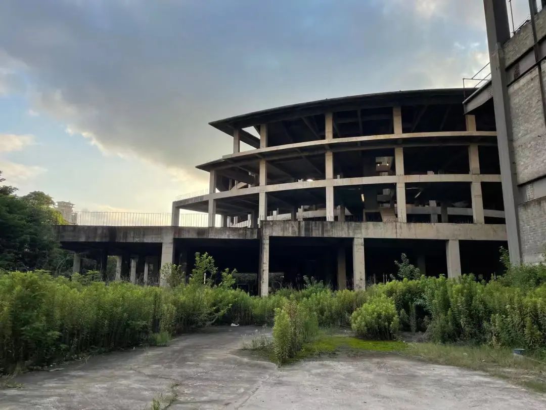 长宁区为什么那么火,长宁在全国算什么档次