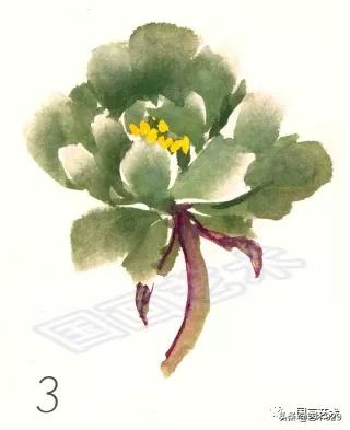 国画技法简单易学的写意牡丹,国画最简单牡丹画法教学视频