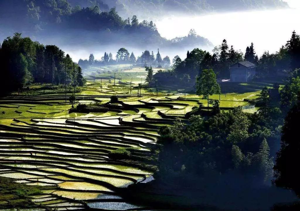 一泡而红!四川这座小城已火向全球,今天万人齐聚!