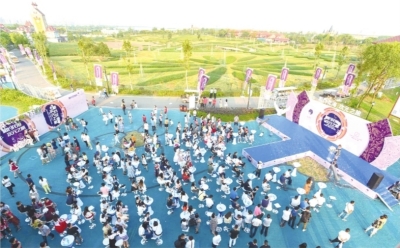 乡村生态游经济收入,乡村旅游收入占总收入的多少