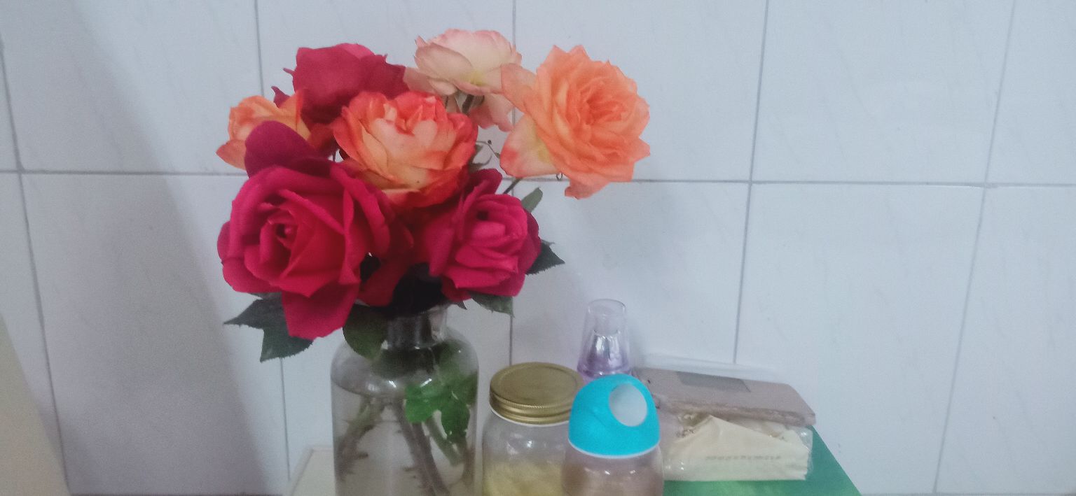 住院日记大全,住院日记心脏支架