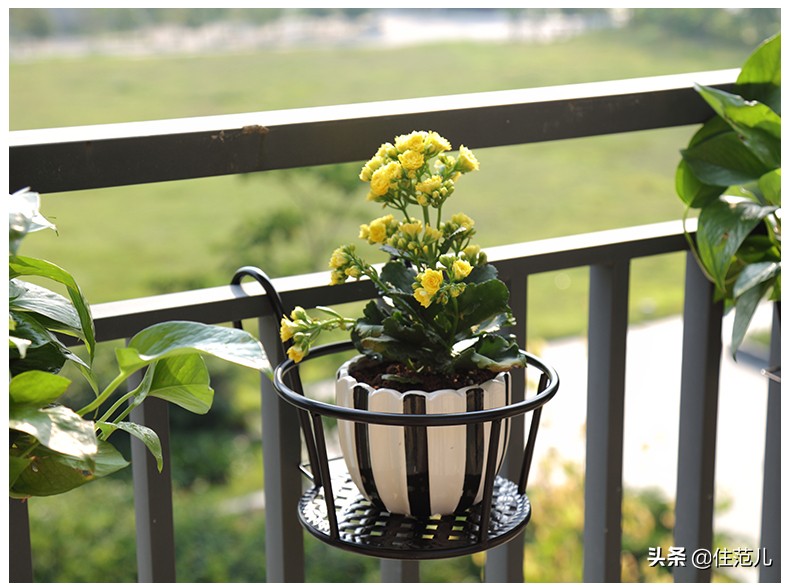 40平米阳台花园打造方法,阳台打造花园效果图大全