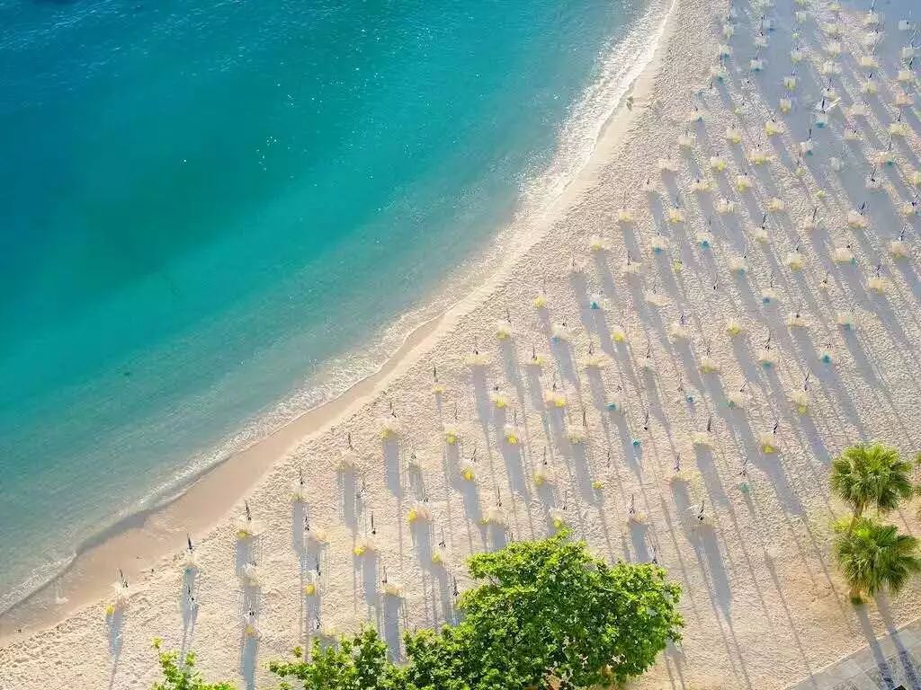 这个冬天来威海玩雪吧,冲绳出海看鲸鱼的季节