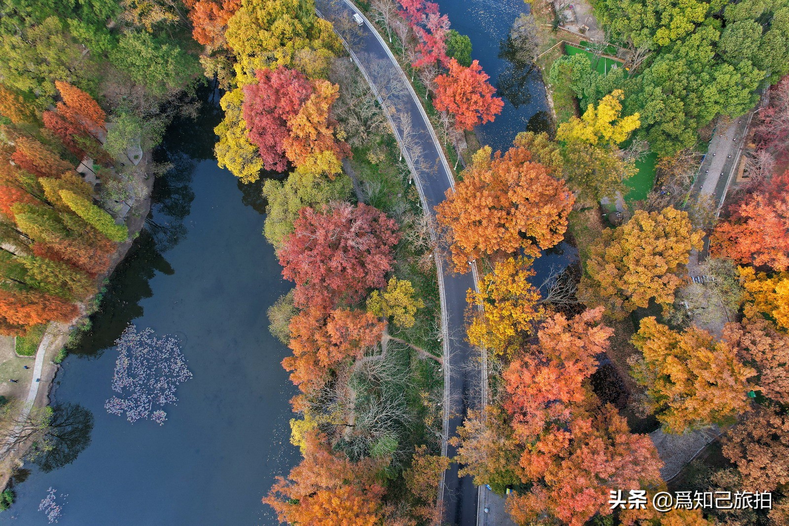 美在金陵文艺大咖秀,美在金陵梁梅