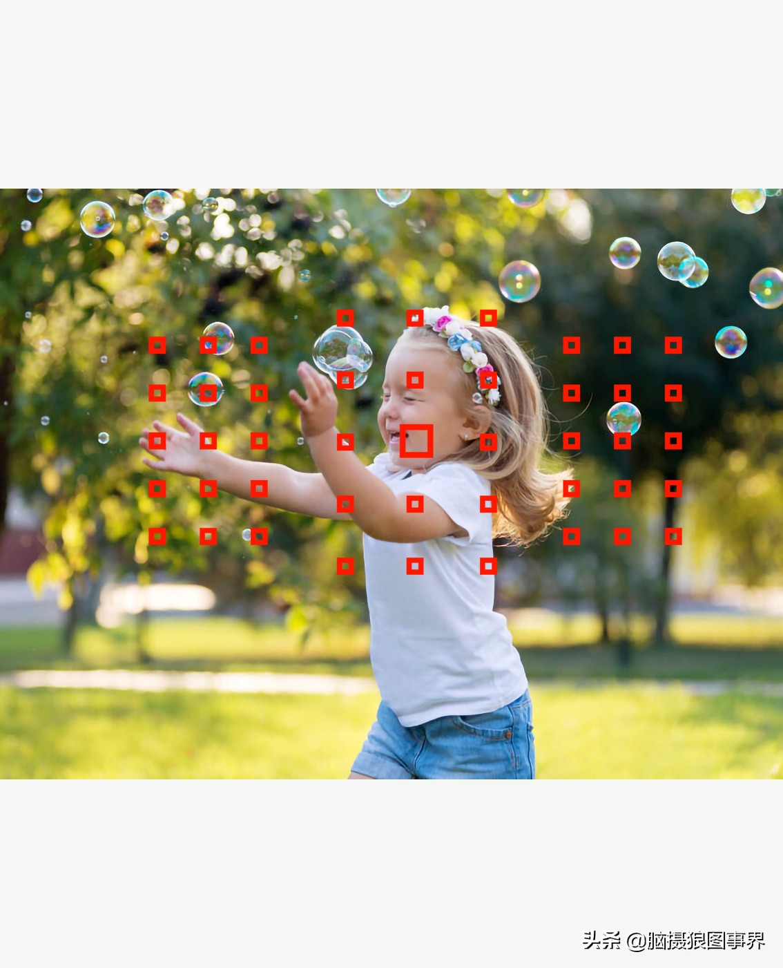 花卉拍摄中,多点对焦与单点对焦哪种更好?为什么主体不清晰?