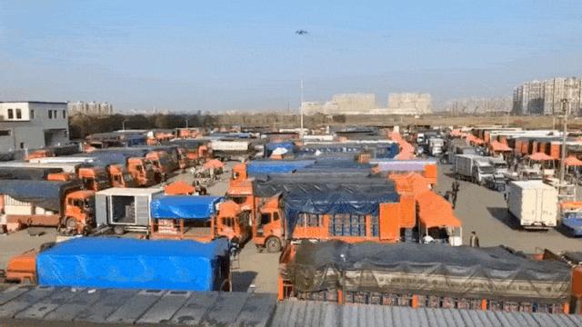 2019年水果滞销,2019年今年哪些蔬菜滞销