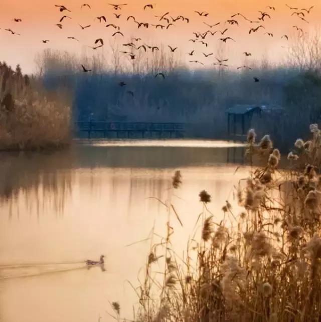 亚洲宜居城市排名2019,中国唯一一个国际评选的宜居城市