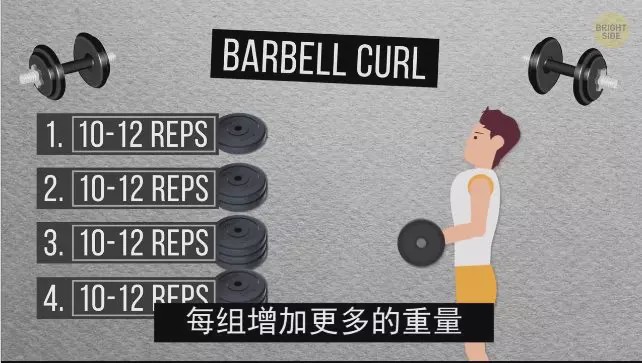 怎么练手臂的肱三头,怎么才能练出手臂的肱三头肌