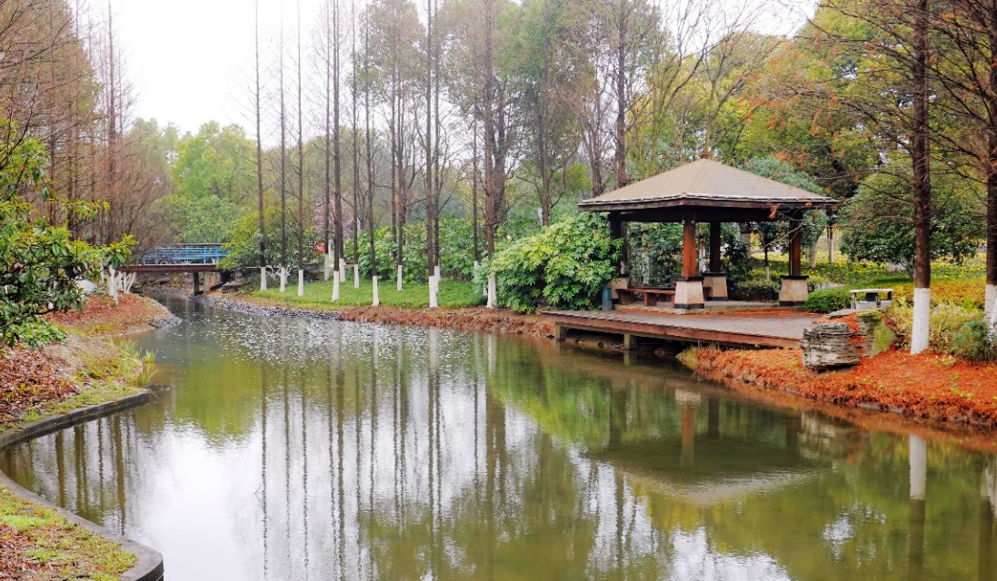 春雨江苏东台,春雨江苏无锡