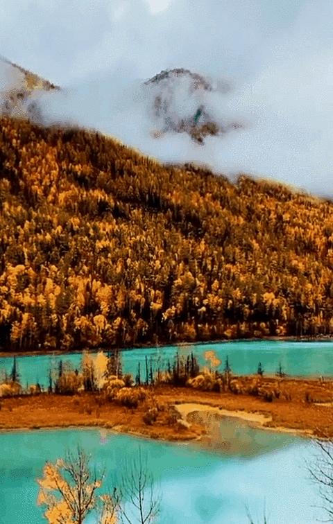 如果你不了解现实你就去看历史,如果你不了解历史就无法展望未来