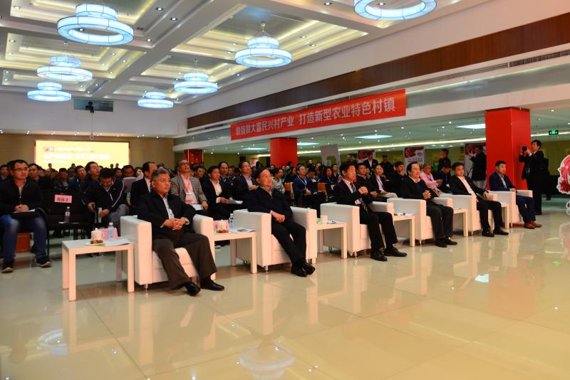 岭南佳果你知道的有哪些,广东岭南佳果有哪些