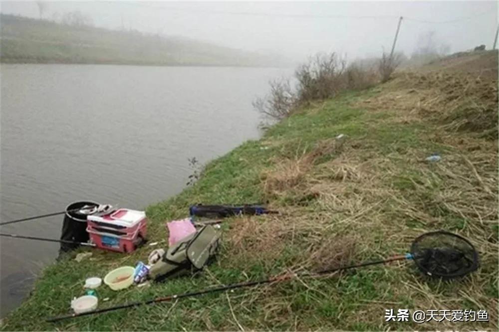 惊蛰怎样的天气好钓鲫鱼,清明阴雨天还能野钓鲫鱼吗