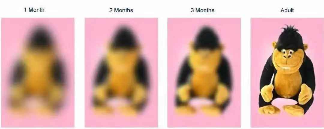 孩子视力0.8严重吗,孩子视力0.6需要矫正吗