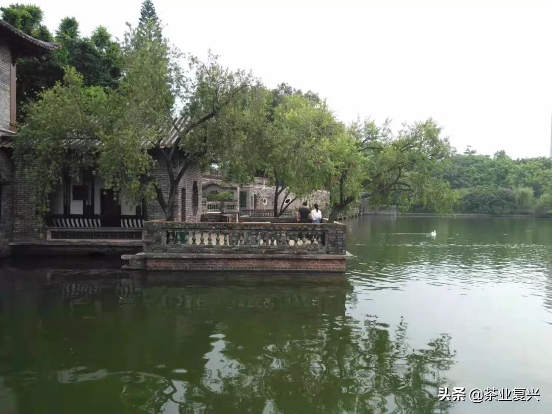 东莞藏茶之都,东莞获授中国藏茶之都