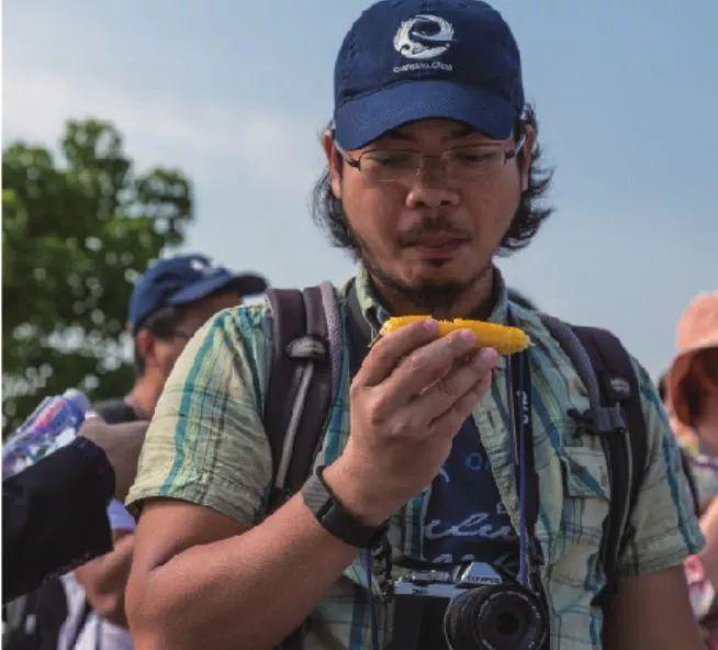 童颜小玉米做法,小玉米甜糯低脂