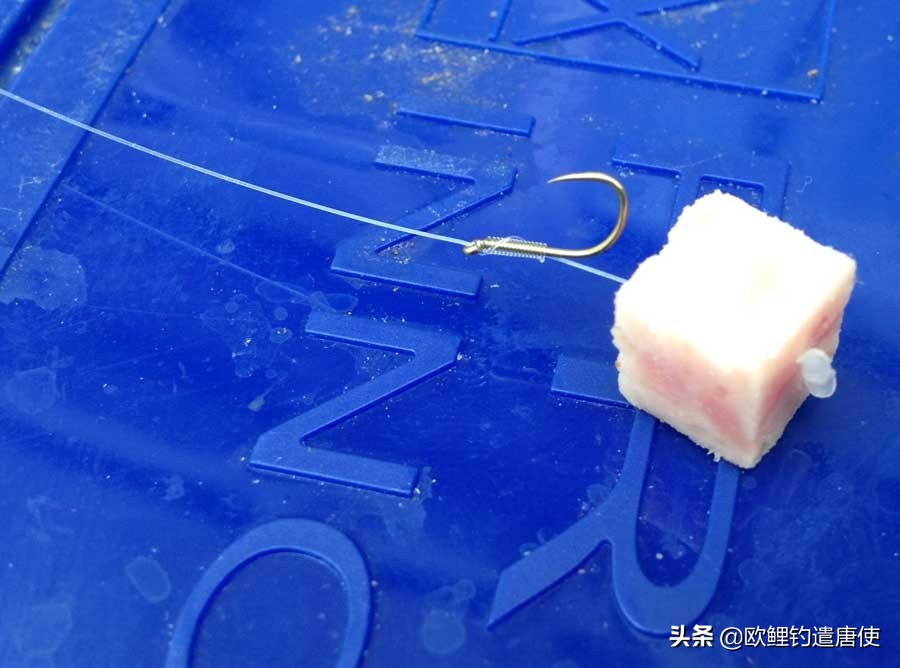 钓鱼也是一种技术,科学钓鱼的基本原理