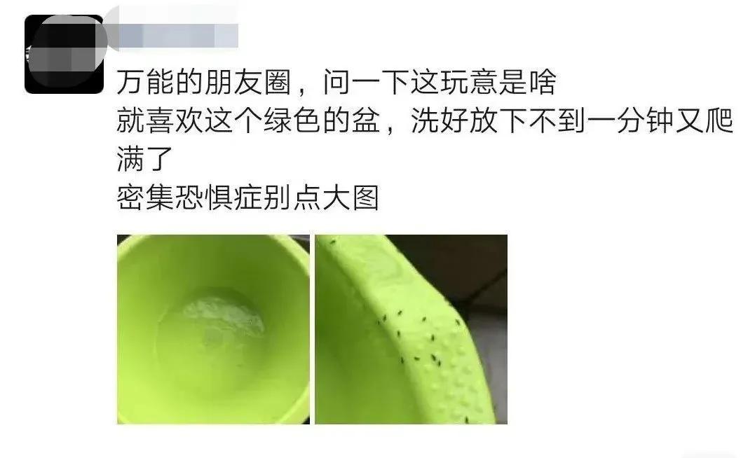 咬人很痒的小黑虫有哪些,小黑虫子咬了奇痒无比是什么虫
