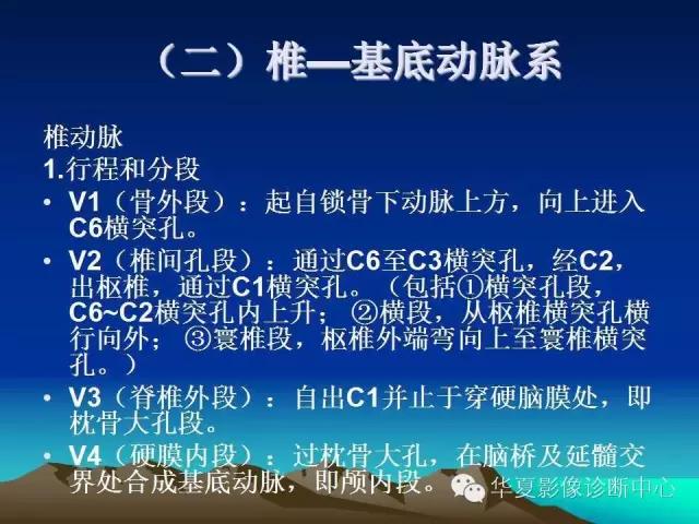 小脑血管解剖分段,脑血管影像解剖讲解