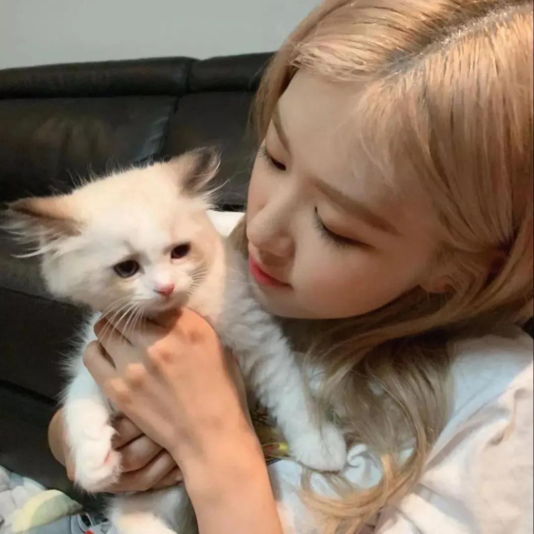 图片分享展示视频,粉墨周边整理图