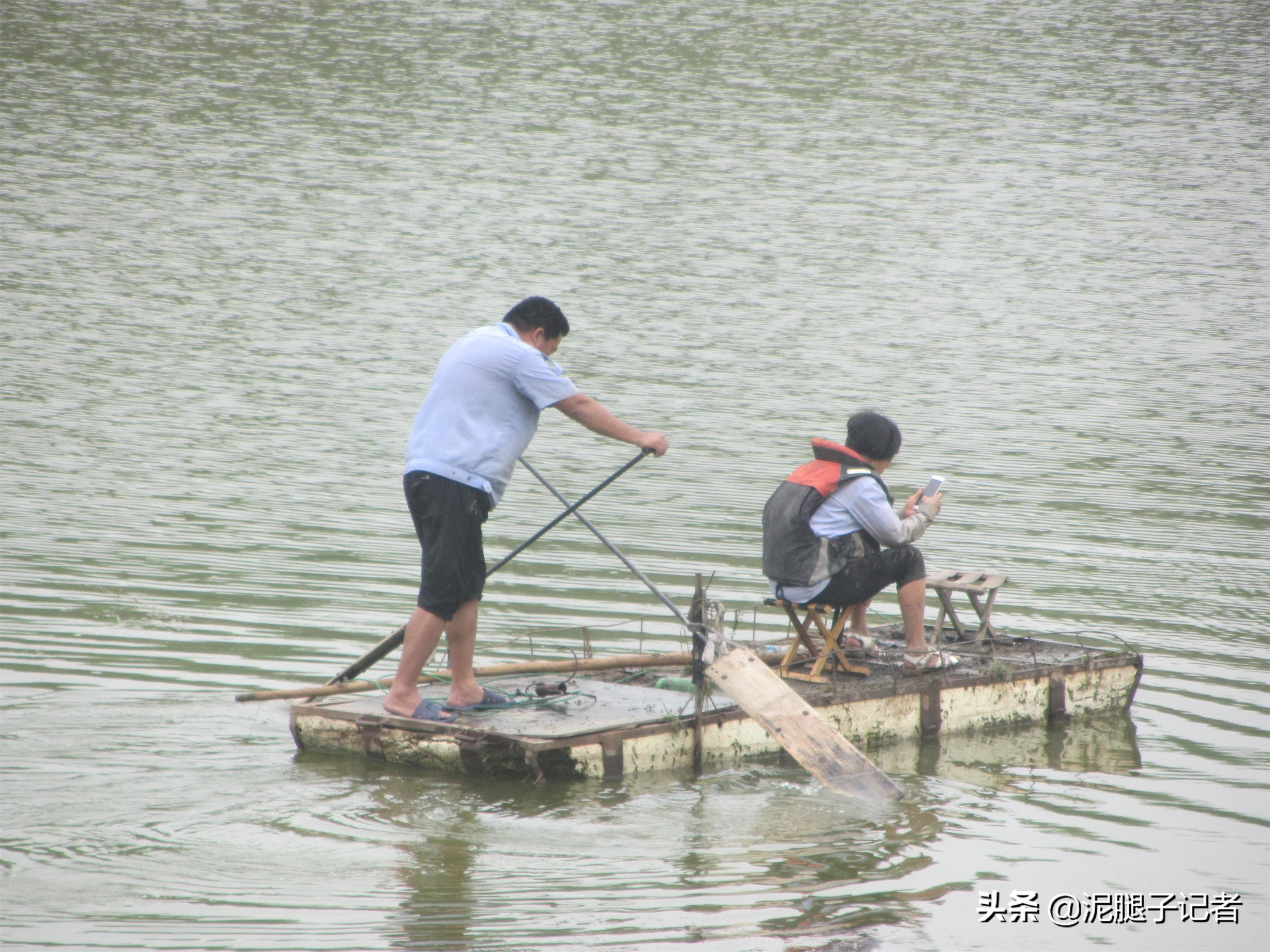 农村小伙捕鱼的真实经历,农村小伙捕鱼的神奇经历