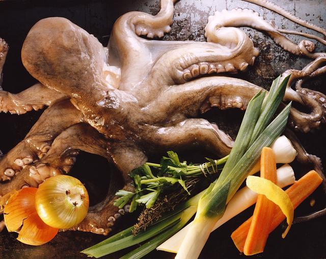 墨鱼乌贼章鱼鱿鱼到底有什么区别,怎么分清章鱼乌贼和鱿鱼