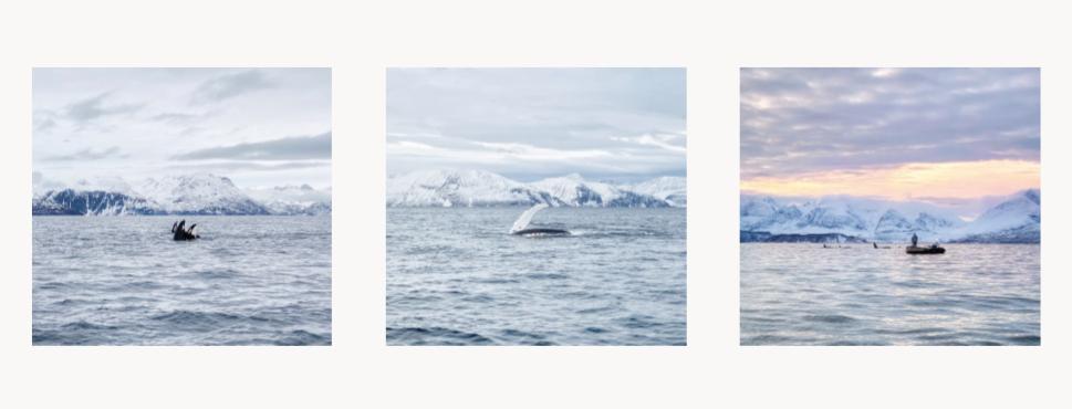 2020iphone摄影赛第一名,2019iphone摄影大赛获奖作品