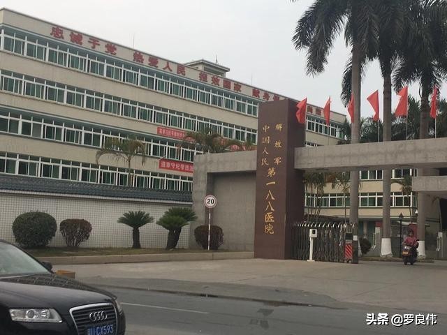 寻觅第二集,寻觅32集预告