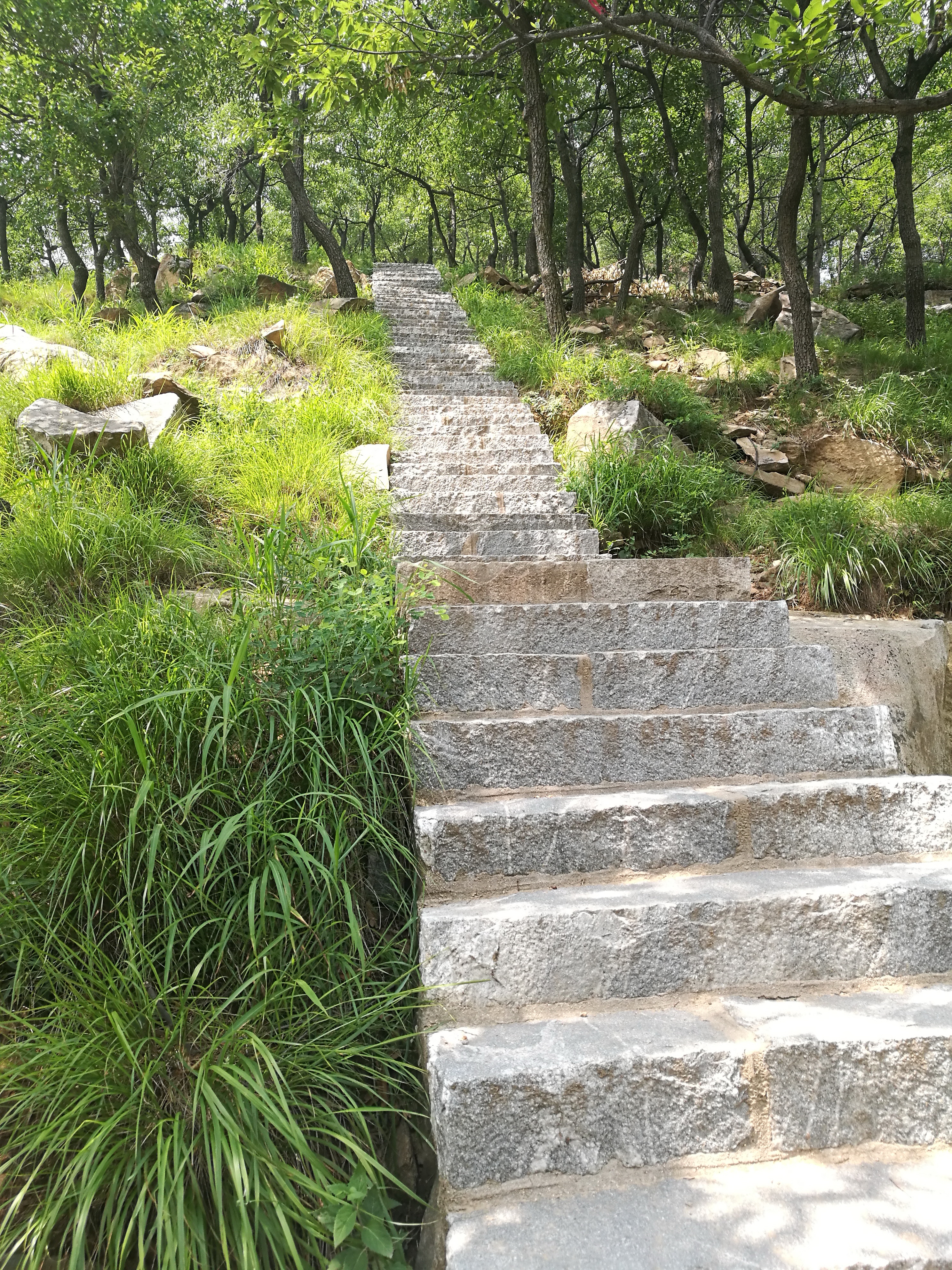 泰山世界文化和自然遗产碑刻,世界自然文化遗产名胜