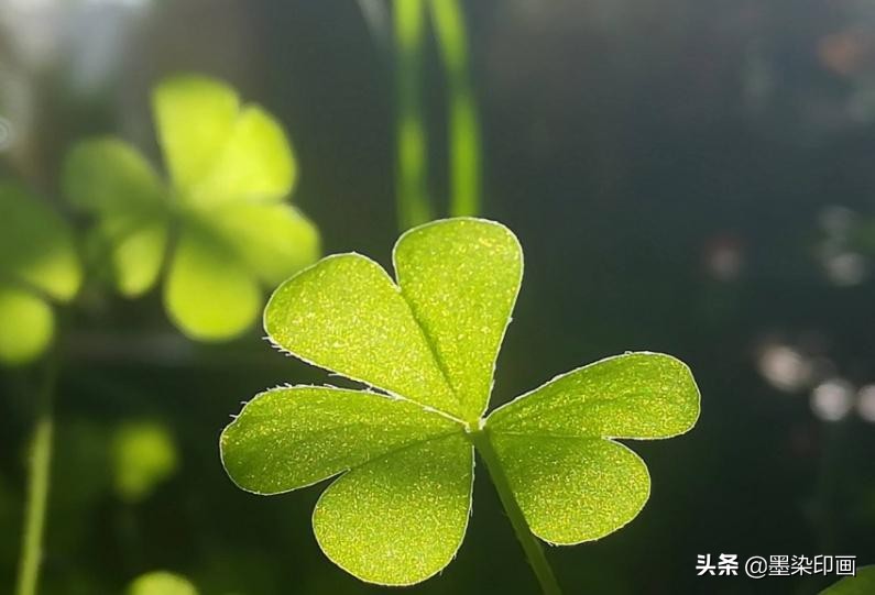 摄影如何打光消除阴影,摄影如何避免灯光光晕