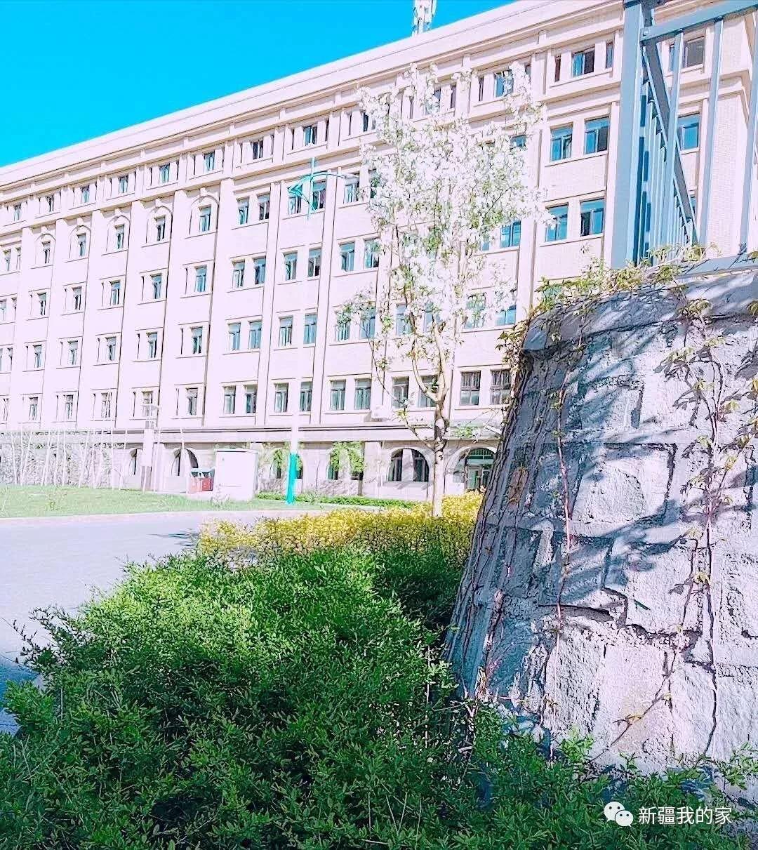 校园美食节登上热搜，*疆新**师范大学没想到你是这样的