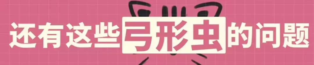 怀孕了还是想养猫猫狗狗怎么办?华西专家:可以养,但绝不能随便养!