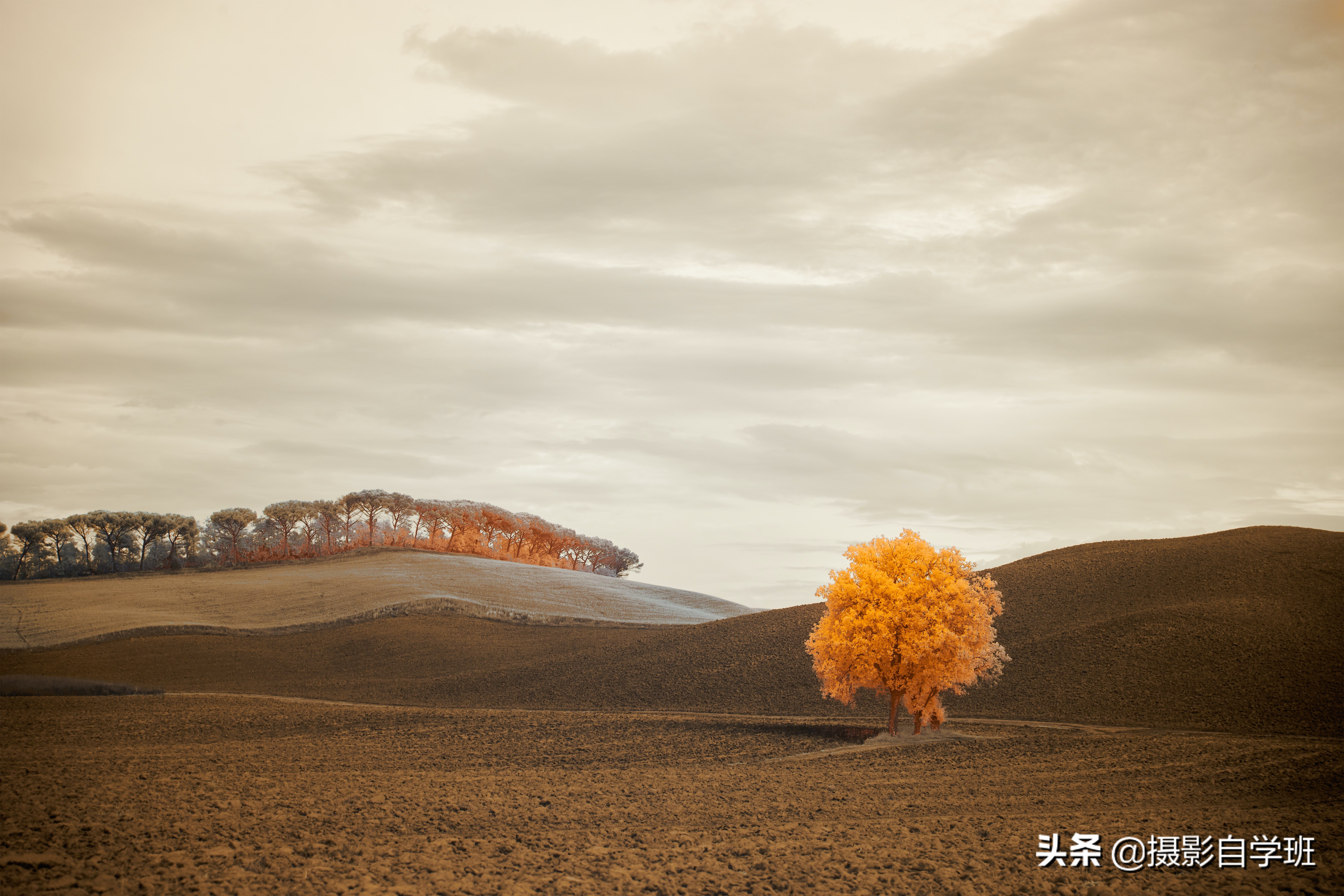 手机拍照技巧构图,手机拍照有哪些技巧和方法