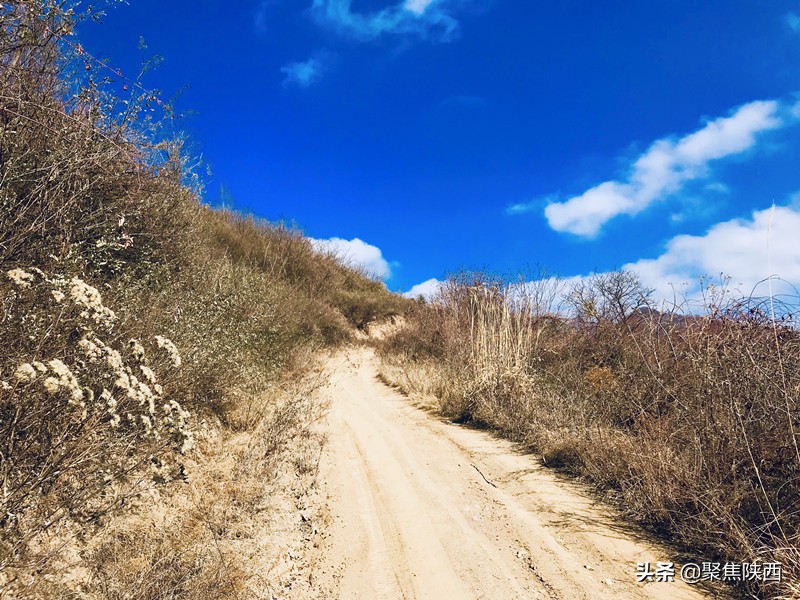 鍑ゅ摜鍔╁姏鏂颁汉,鍐滄潙鍒涗笟鍑ゅ摜