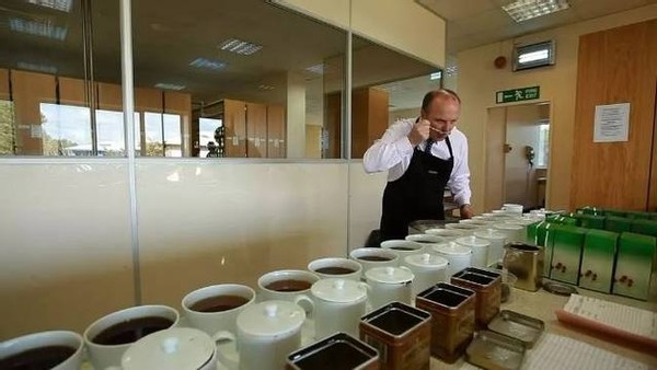 神奇的东方树叶原声,神奇的东方树叶饮料