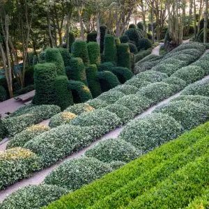 鏄撳搴櫌璁捐,鏄撳瑁呬慨