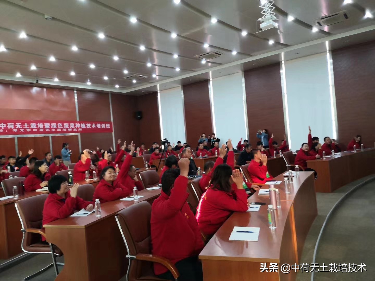 无土韭菜栽培技术,生菜无土栽培视频