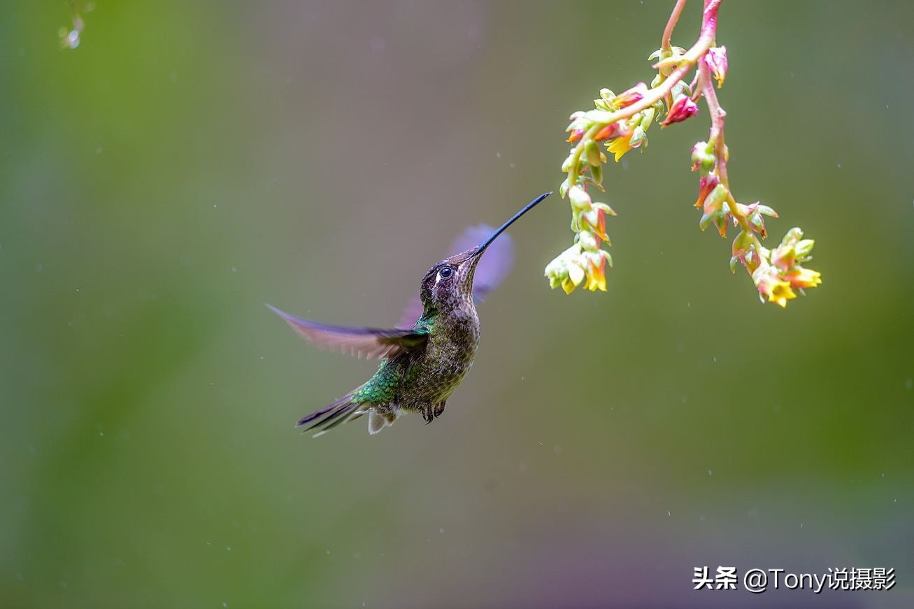 详解快门速度,领略不同曝光时间带来的魅力