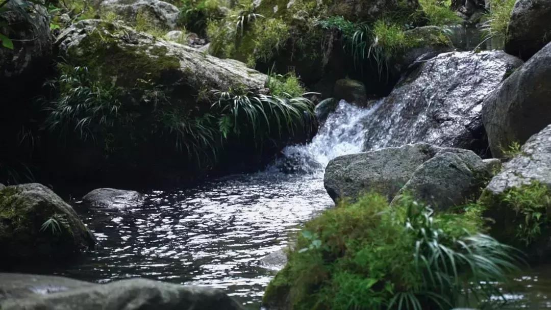 从化一日游最佳去处民宿,从化旅游线路攻略大全最新