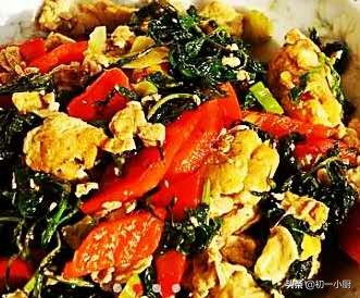 蘑菇荠菜韭菜,韭菜白菜荠菜