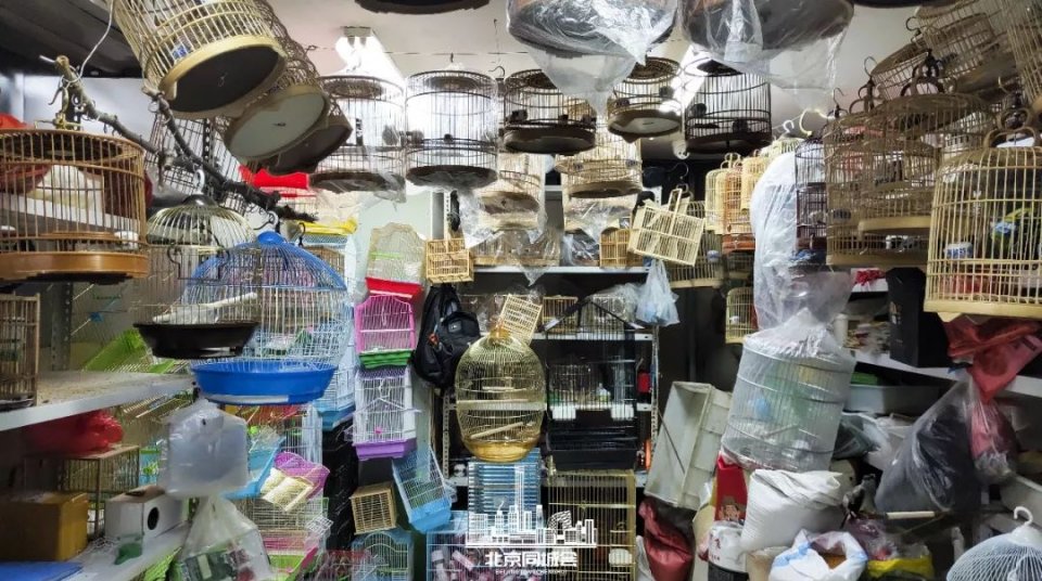 不去后悔去了更加后悔的景点,不去后悔去的景点