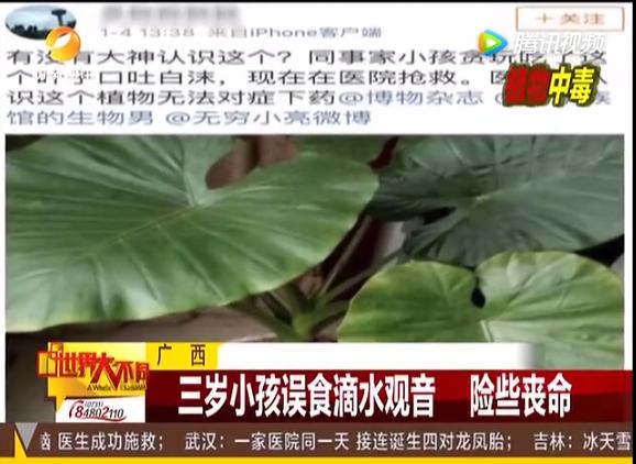3岁孩子误食了药物属于意外吗,小孩误食绿植肥料怎么办