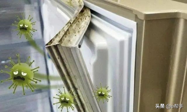 发霉的霉菌100度能杀死吗,除霉防霉剂能杀霉菌吗