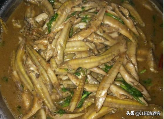 浑身银白色没鳞片的是什么鱼,身上没有鱼鳞像泥鳅非常滑溜