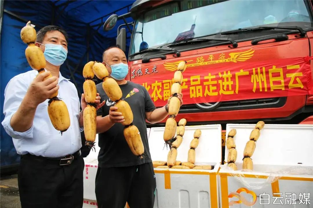 扶贫贡献突出,白云江南果菜批发市场获商务部点赞