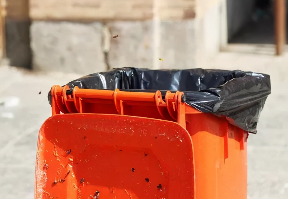食堂苍蝇多怎么办生活小妙招,食堂苍蝇怎么处理才能彻底去除