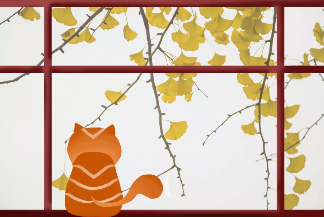 小学语文比喻句拟人句排比句,小学比喻句拟人句夸张句大全