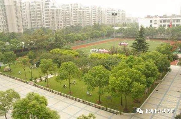 上海市强势崛起的十大公办小学,上海市普陀公办小学对口地区