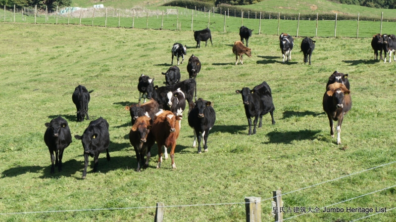 第134回：怀凯蒂山谷温泉浴，怀奥塔普地热公园